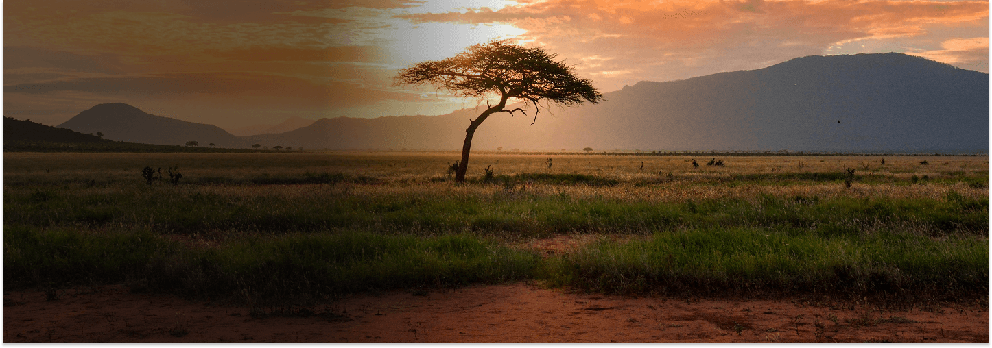 Kenya hero