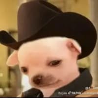 tuffskaterboy