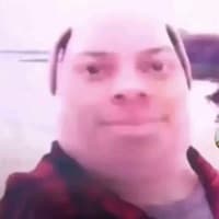 bartdinglenut