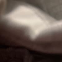 moldychalupa