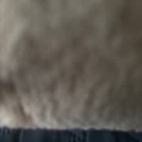 kevin6_87
