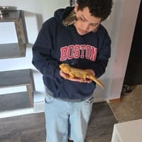 thebigb