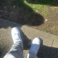 TJ_239