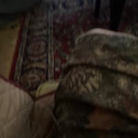 vaham627