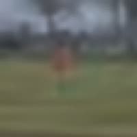 Axel Curiel
