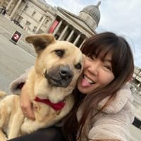 Yumi explorer the world