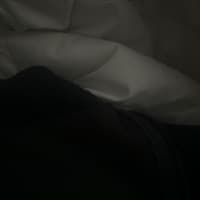 taniaaloni