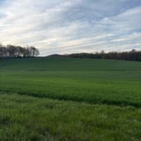 carsonc