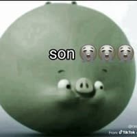 kvshkixazr