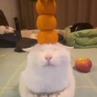 /