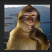 gulos