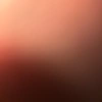 Alinecastro716