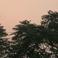 Zainab Liaqat