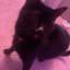 salem._.xD