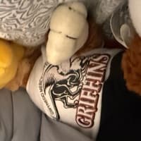 griffengrif