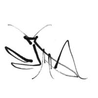 shadowansonic