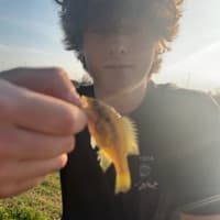 Conner Downes