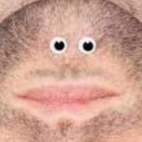 jasonco