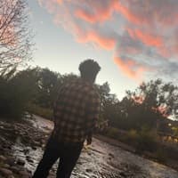 StayTrippin