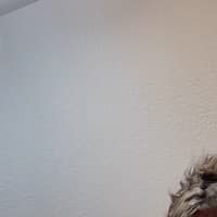 blnkerd