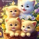 Fathima FidhaP