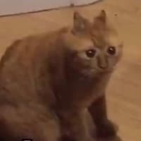 FixP