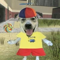 Louis5252